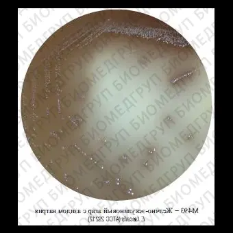 Агар желчноэскулиновый с азидом натрия, 500 г ФСЗ 2009/03709