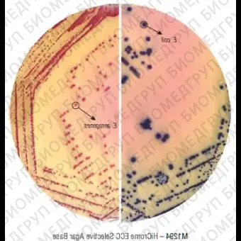 Основа агара ECC HiCrome для обнаружения и подсчета E.coli и колиформ. бакт. 500 г ФСЗ 2009/03705