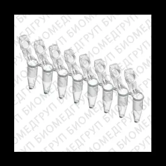 Пробирки для ПЦР в стрипах, 0,2 мл, 18, выпуклая крышкаколпачок, бесцветные, Eppendorf, 0030124359, 120 шт./уп.