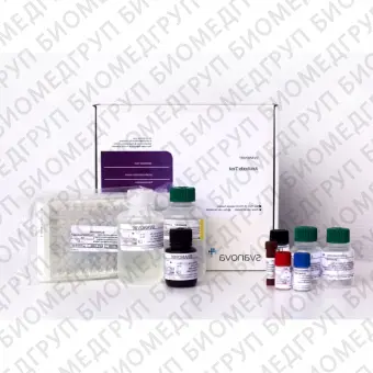 Набор реагентов SVANOVIR BVDVAb Confirmation для обнаружения антител к вирусной диарее КРС методом ИФА цельные планшеты10 планшетов