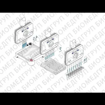 Автоматическая пипетка электронная 120 мкл, 8канальная, с переменным расстоянием между наконечниками Xplorer plus Move It, Eppendorf, 4861000781