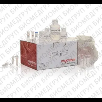 Набор PureLink FFPE RNA Isolation Kit, Thermo FS, K156002, 50 выделений