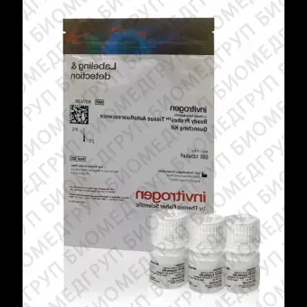 Набор для снижения автофлуоресценции  ReadyProbes Tissue Autofluorescence Quenching Kit, Thermo FS, R37630, 1 набор