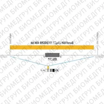ДЛЯ КЛИЕНТОВ из США. SureFISH 21q22.13 DSCR8 494 КБ P20 RD. DSCR8, Номер копии, 20 тестов, Cy3, Концентрат, Ручное использование