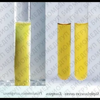 Среда 8 для выращивания Pseudomonas aeruqinosa и Staphylococcus aureus ГРМ 0,25 кг