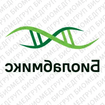 2Х смесь БиоМастер HSqPCR HiROX для проведения количественной ПЦР в реальном времени с красителем ROX2 040 реакций