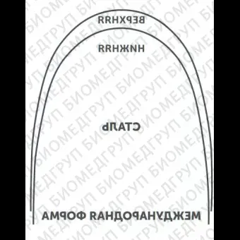 Дуги ортодонтические международная форма Нержавеющая сталь для верхней челюстиSS U .017x.025/.43x.64