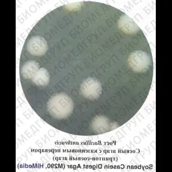 Агар соевый с казеиновым переваром триптонсоевый агар 500 г ФСЗ 2009/03707 ГОСТ Р 524262005