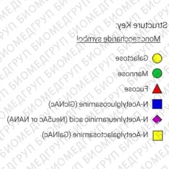 AdvanceBio InstantQ G2S1 2,3 / A2G2S31 Стандарт Nгликанов ранее ProZyme. Nгликан моно2,3сиалилированный, галактозилированный двухантенный, меченный InstantQ, для использования в качестве качественного стандарта с системой анализа гликанов