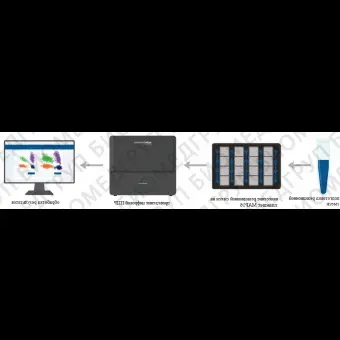 Система QuantStudio Absolute Q для мультиплексной цифровой ПЦР автоматическая, 4 канала, Thermo FS, A53267компл