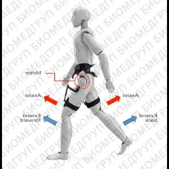 Опорный каркас для упражнений походка Walking Assist