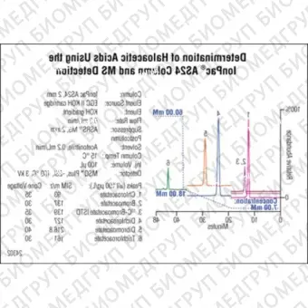 Dionex IonPac AS24 Analytical  Guard Columns