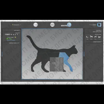 Программное обеспечение для ветеринарной радиографии IMEDview