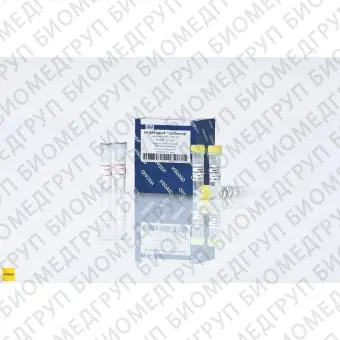 QuantiTect Probe PCR Kit, Qiagen, 204345, 1000 единиц