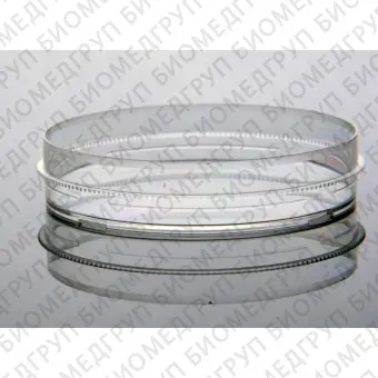 Чашка Петри культуральная, диаметр 100 мм, для работы с адгезивными культурами клеток TCtreated, стерильная, 20 шт/уп, NEST