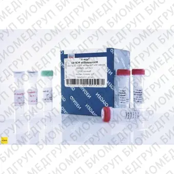 Набор для количественной ПЦР в режиме реального времени Typeit Microsatellite PCR Kit, Qiagen, 206246, 2000 реакций