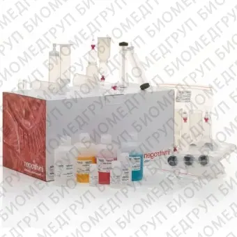 Набор PureLink Fast LowEndotoxin Midi Plasmid Purification Kit, Thermo FS, A36227, 50 выделений