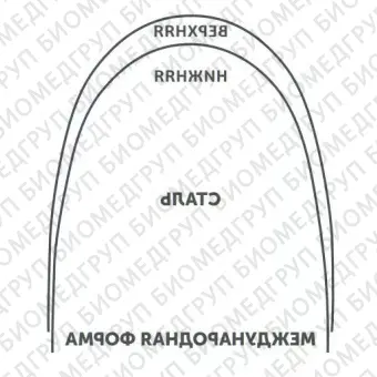 Дуги ортодонтические международная форма Нержавеющая сталь для нижней челюсти SS L .016/.41