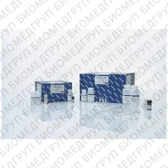 Набор для выделения ДНК из крови и биологических жидкостей QIAamp DNA Blood Mini Kit, Qiagen, 51104, 50 выделений