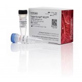 Набор SuperScript VILO cDNA Synthesis Kit, Thermo FS, 11754250, 250 реакций