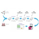 Панель для профилирования ми-РНК, Multiplex miRNA Assay Breast Cancer Panel - Cellular, Abcam, ab203183, 96 тестов