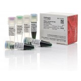 ДНК-полимераза Platinum Taq Green Hot Start DNA Polymerase, Thermo FS, 11966034, 600 реакций