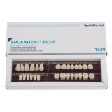 Spofadent Plus (А1) 1/40-0/7-1/62