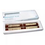 Spofadent Plus (В1) 62-0/11-1/62