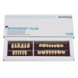 Spofadent Plus (В4) 1/48-0/6-1/72