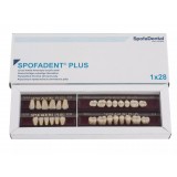 Spofadent Plus (С3) 1/44-0/0-1/65